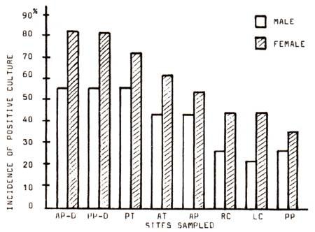 Fig. 5 : Mean candidal density at various oral sites in dentate carriers(dentate group) Fig. 6 : Frequency of candidal detection in male and female(dentate group) Fig.