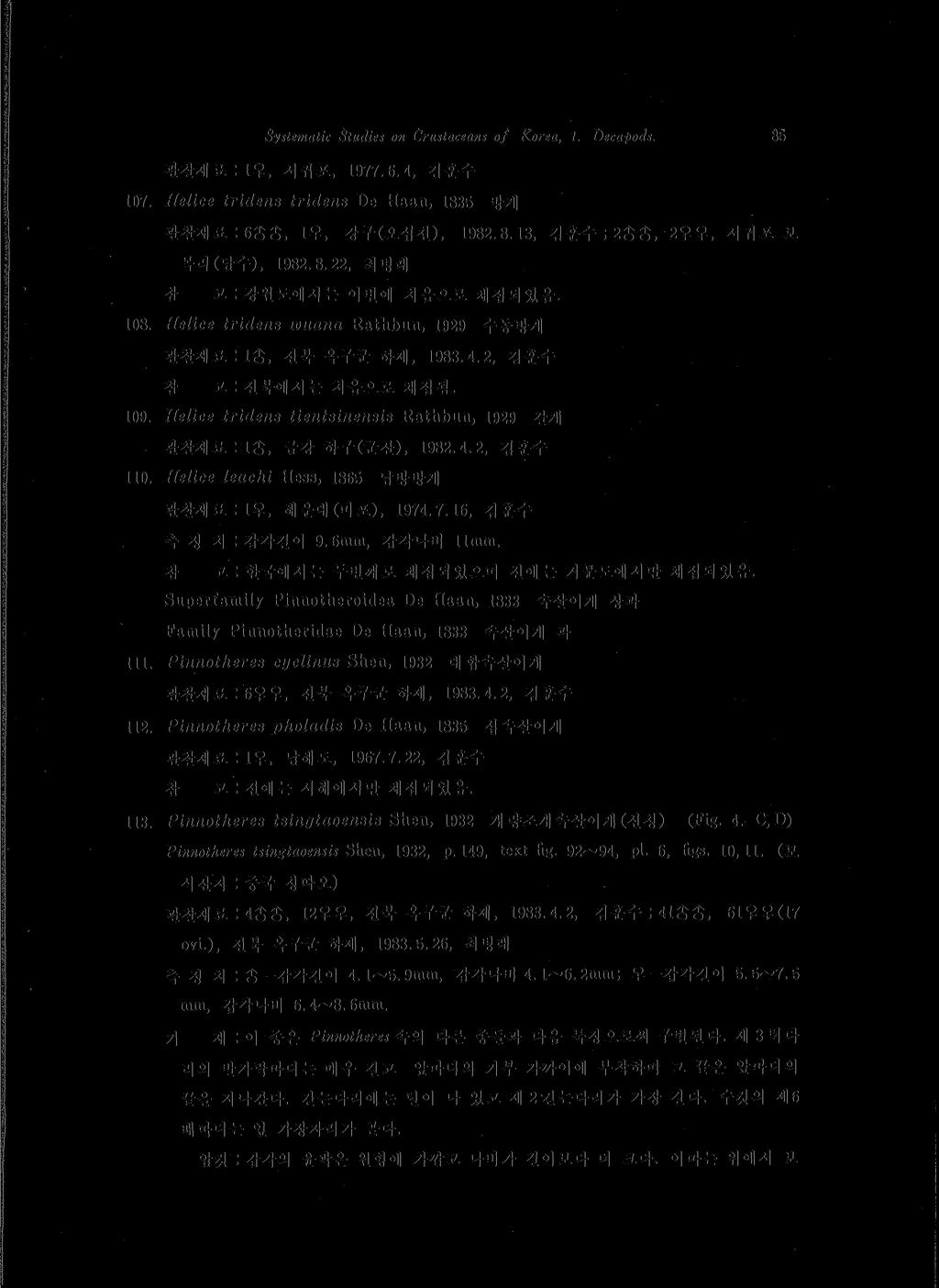 Systematic Studies on Crustaceant of Korea, 1 Decapods. 85 관찰재료 : 1우, 서귀포,1977.6.4, 김훈수 107. Helice tridens tridens De Haan, 1835 방게관찰재료 : 1우, 강구 ( 오십천 ),1982.8.13, 김훈수 ;2$ 초,2 우우, 서귀포보목리 ( 담수 ), 1982.