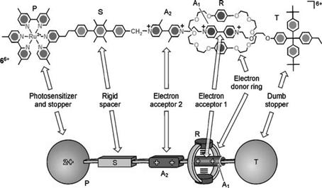 이정재 그림 10. 빛에의해조절되는분자모터의화학적구조. 10과같이 photoinduced 링셔틀링을조절할수있게고안된로택산이연구, 발표되었다.