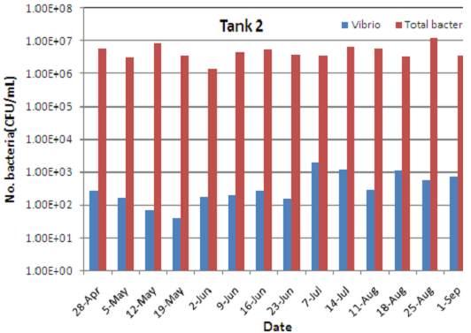 Fig. 29. Total bacteria and Vibrio spp.