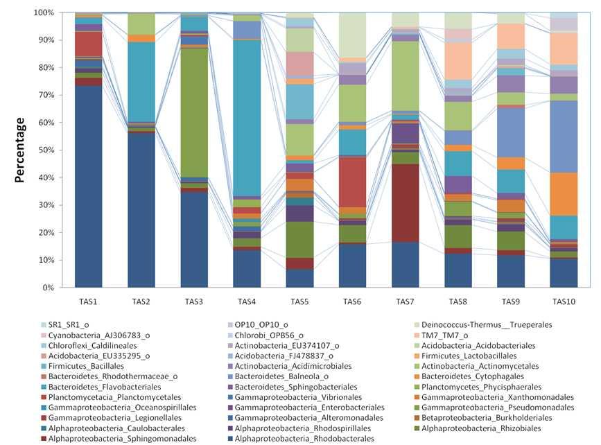 Pyrosequencing result of biofloc rearing water- species richness under phylum level (in