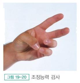 소뇌기능검사 Finger-to -finger test :