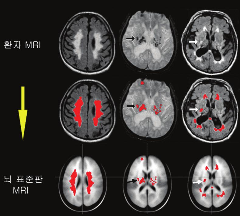 김동억권건환고은아지명구정지원노상미강동희탁윤오김태윤박경종정상욱최흥국 간적, 경제적으로유리하다.