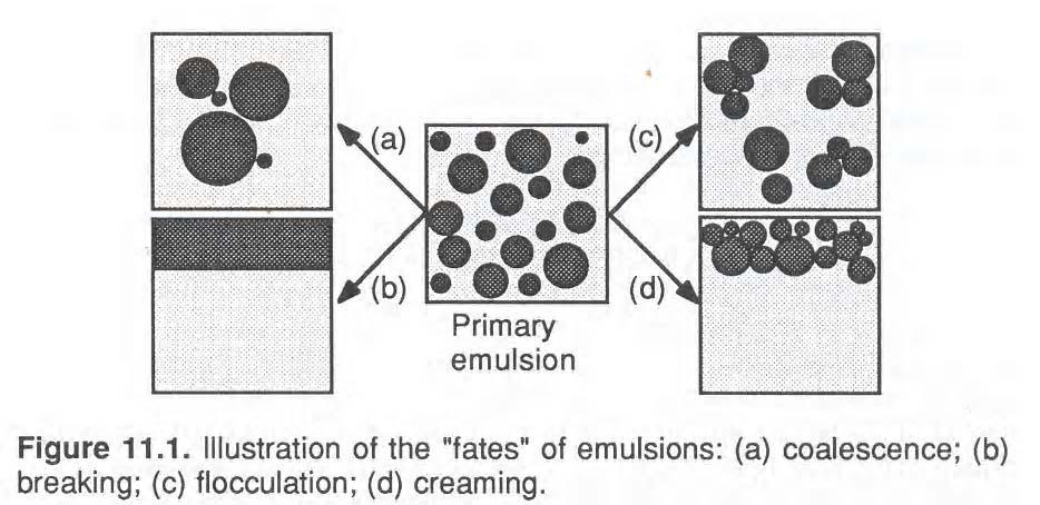 Emulsions Emulsion Formation and Stability Definition of Emulsion Stability flocculation 과 creaming 둘다 drop