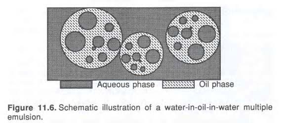 Emulsions Multiple Emulsions MULTIPLE EMULSIONS Multiple emulsion 에대한연구는그리많지않았다.