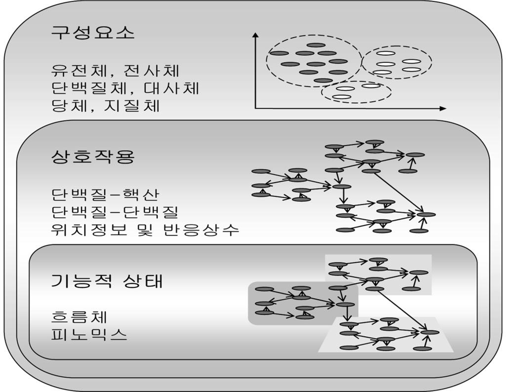 .. 1. Omics. 1) 2) 3). ) (metabolomics) omics.. ) (, phenomics). (12, 13) RNAi. 2. omics omics omics,. omics - -. ) (localizomics).