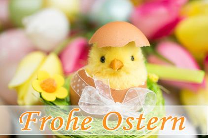 생일 Frohe Ostern!