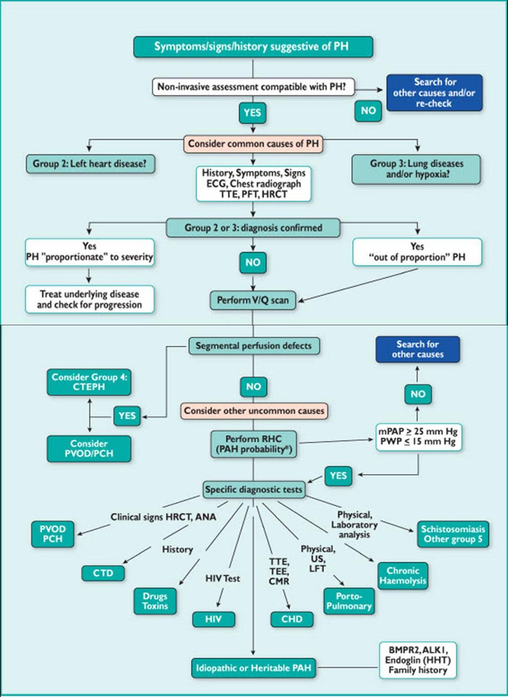 - 대한내과학회지 : 제 78 권제 1 호통권제 593 호 2010 - Figure 2. Diagnostic algorhithm of pulmonary hypertension.