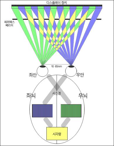 ( 그림 7) Parallax barrier 와 Lenticular 방식 - Lenticular 방식 : lens 모양 이라는뜻으로서일반적으로반원형으로연결된렌즈를말한다. Parallax barrier 방식과마찬가지로이방식에서는렌티큘러 (lenticular) 뒤에좌우영상을수직방향으로잘라번갈아배치하고있다.