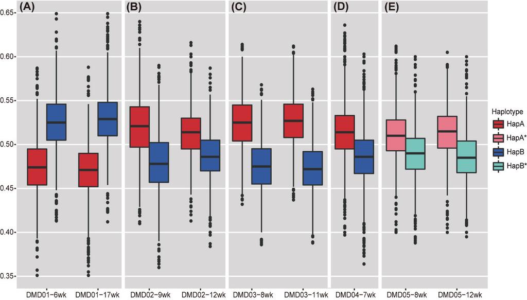 Figure 1-9. Fetal genotype prediction. HapA represents the mutant-linked allele and HapB represents the wild-type-linked allele.