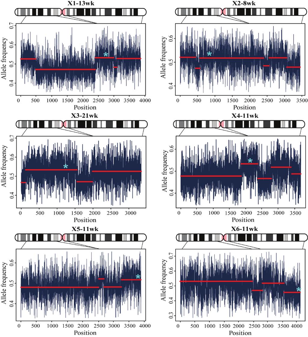 Figure 2-4. Estimated recombination events throughout the X chromosome in the earliest gestational week. The blue asterisks indicate the position of the putative pathogenic variations.