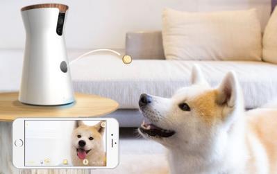 펫서울특별기획관 펫테크 / 가전관 An increasing number of pet owners are opting to invest in technology that keeps their pets safe