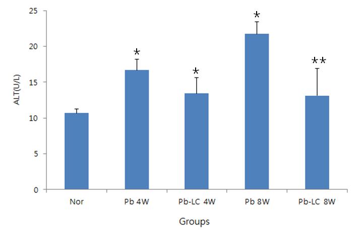 한국산학기술학회논문지제 17 권제 6 호, 2016 Fig. 2. The actives of ALT in mice treated lead acetate and/or Lespedeza Caneata extract.