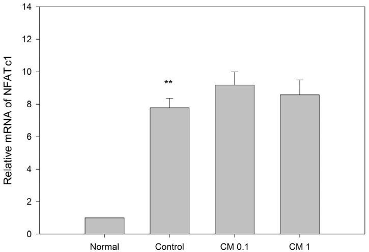 The Journal of Oriental Obstetrics & Gynecology Vol.25 No.3 August 2012 3. NFATc1 발현에미치는영향실험결과, 을처리한경우대조군에비해 NFATc1 발현에영향을주지못하였다 (Fig. 3). 1 : RANKL(50 ng/ ml ) + 1 μg / ml of 5.