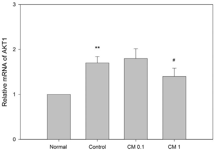 1 : RANKL(50 ng/ ml ) + 1 μg / ml of 4. c-fos 발현에미치는영향 실험결과, 은 1 μg / ml의농도에서대조군에비해 c-fos의발현을감소시켰으나유의성은없었다 (Fig. 4). Fig. 5.