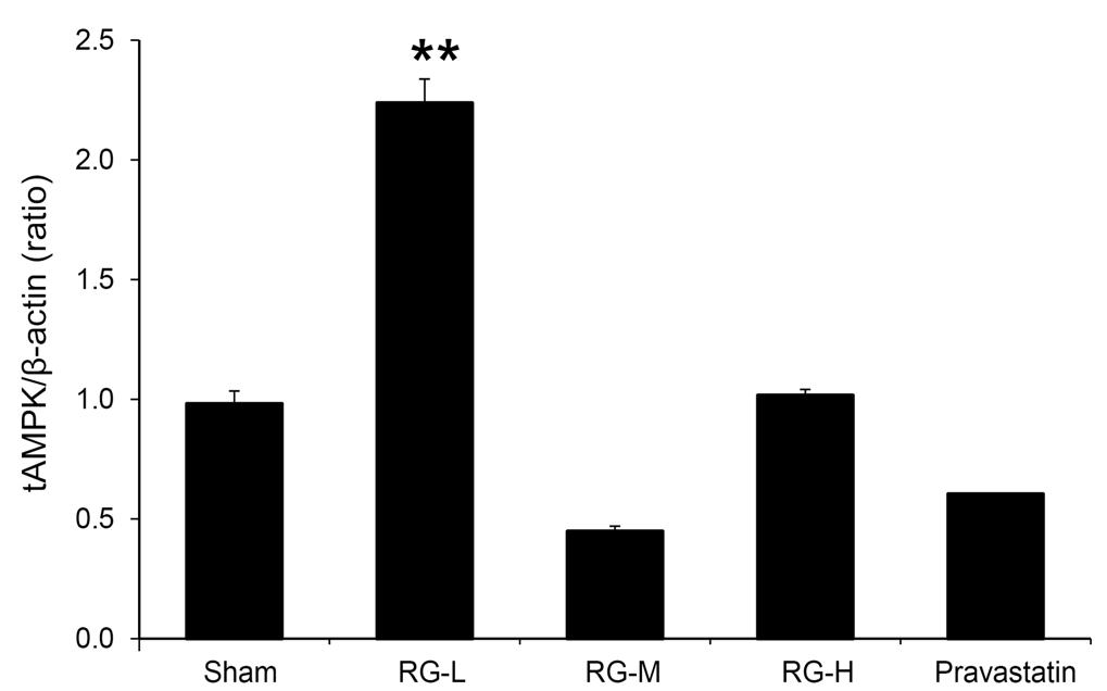 All values are expressed as mean±se (n=6). ** P<0.01 vs Sham. Fig. 6. Lipid peroxidation (MDA) analysis.