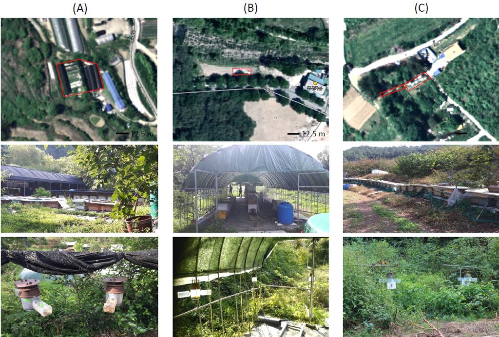 Fig. 2. Experimental sites shown by GPS map (the upper) (NaverMaps, https://map.naver.com/)and panoramic view picture (the middle and lower). (A) Damyang A, (B) Gokseong A, and (C) Gokseong B.