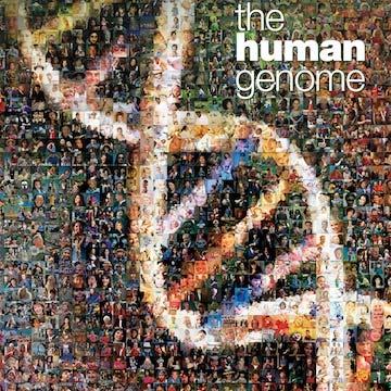 인간유전체결정사업 (Human Genome Project; HGP) 1990년 ~2003년까지이루어진국제협력사업으로인간게놈에있는약 30억개의뉴클레오티드염기쌍의서열을밝히는것을목적으로한프로젝트이다. 이프로젝트는미국, 영국, 일본, 독일, 프랑스등 5개국의공동노력과셀레라지노믹스 (Celera Genomics) 라는민간법인의후원을받아이루어지게되었다.