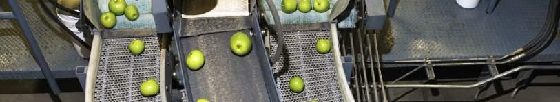 사과, 배, 감, 참외등다양한작물을재배하는복합영농 (FS-250S 딸기전용선별기입니다.
