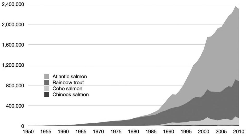 ( 그림 2) 형질전환연어를개발하고승인하는뒷배경에는많은요인들이관계되어있다. 전세계적으로야생에서포획되는연어의어획량은전혀늘지않았는데 ( 오히려사실은환경오염과기후변화로조금씩감소하고있다 ), 대신양식으로생산되는연어의양은점점늘고있다. 그중에서도 Atlantic salmon의양식 / 생산량이큰폭으로늘고있다.