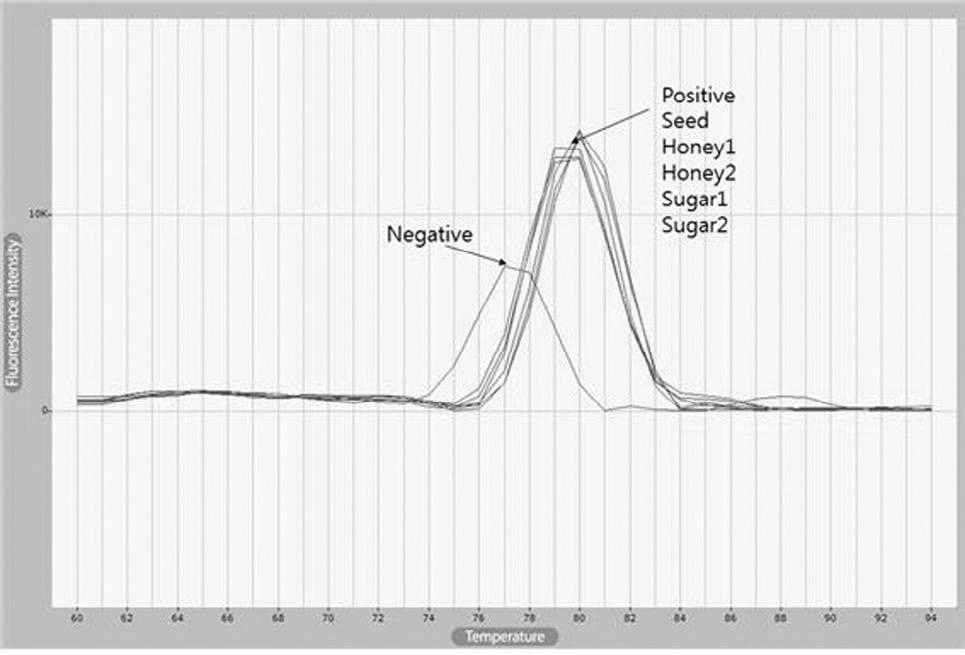 officinarum-specific PRs with DNs from sugar cane seed (Seed), pane-p-mat (Positive), sugar-honey (Honey 1, 2) and sugar (Sugar 1, 2) using