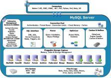 Oracle PPAS MySQL / MariaDB 용어비교오라클 EDB PAS/PostgreSQL MySQL/MariaDB 설명 Instance Cluster MySQL