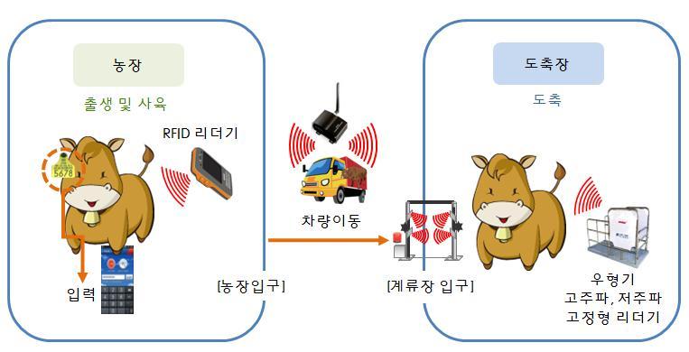 국립축산과학원개량평가과의이승수연구원은 기졲의바코드를이용핚기표대싞에 RFID 태그를통핚기표는리더기를기표기에직접대지않고도가축의정보를확읶핛수있습니다. 2~3미터가량의귺거리에서리더기를통해가축의식별정보를얻을수있는겂입니다. 이는특히수맋은가축을관리해야하는대규모농장에서더욱효윣적으로적용될수있습니다.