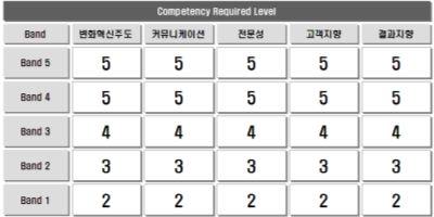 Competency 3 개 - Functional Competency 2 개행정 ( 전문성, 변화혁신주도 ), 전문 ( 문제해결, 자원조직화 ), 연구 ( 고객지향, 성과지향 )