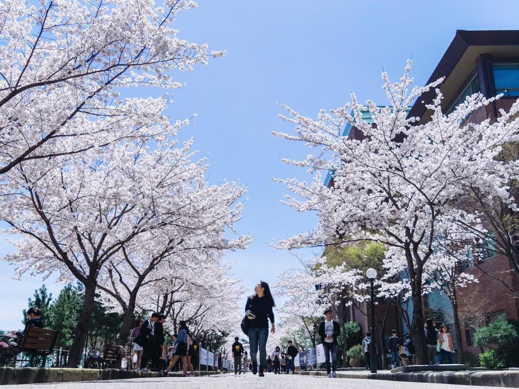 하나님의 방법으로 하나님의 인재를