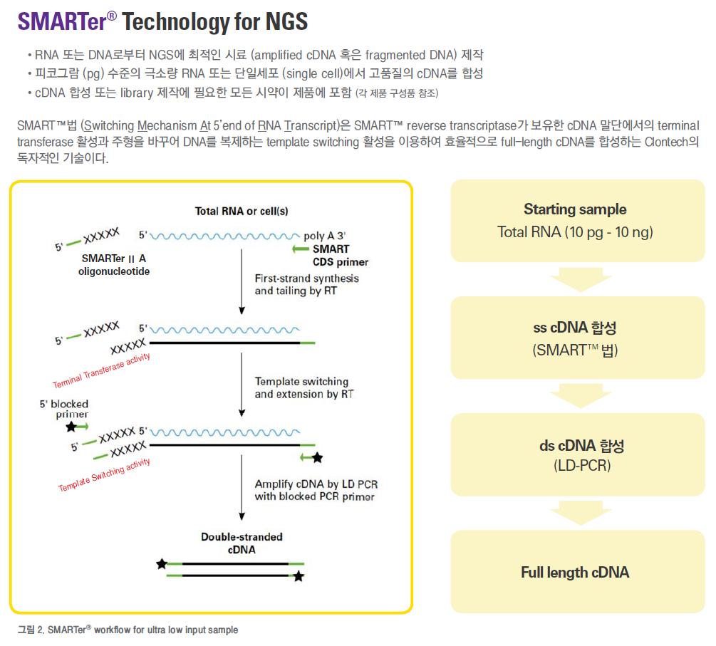 2 페이지 SMARTer Technology for NGS Simple 1-tube