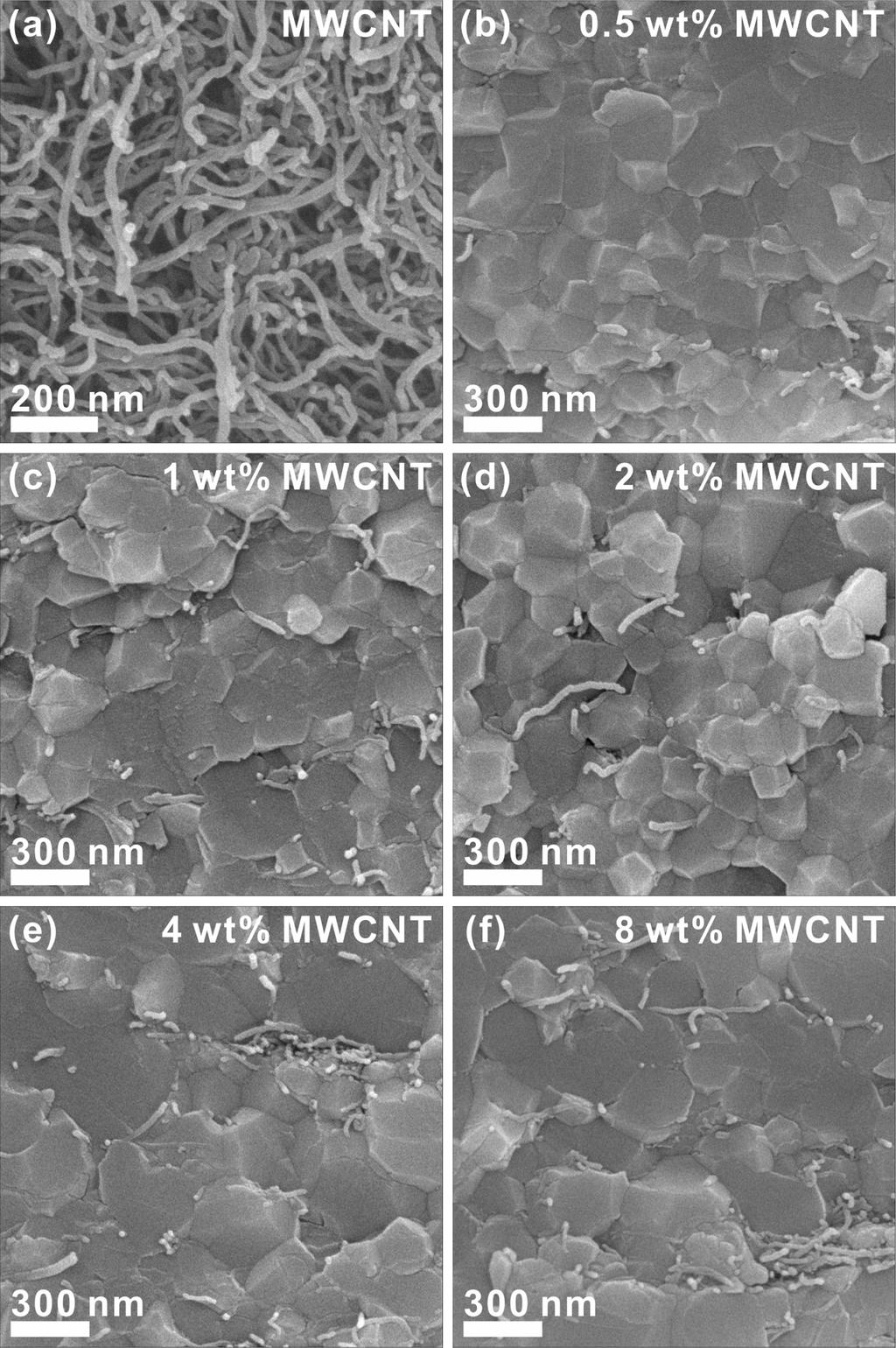 540 대한금속 재료학회지 제56권 제7호 (2018년 7월) Fig. 1. SEM micrographs of (a) as-received MWCNT and (b)-(f) fractured surfaces of TiO2-MWCNT nanocomposites with 0.5, 1, 2, 4 and 8 wt% of MWCNT, respectively. Fig. 3.
