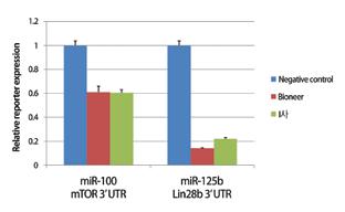 AccuTarget mirna mimics & inhibitors Description mirna의안정성을극대화하기위해바이오니아의모든 mirna는 clean room에서제조되며, MALDI-TOF mass spectrometer를통한엄격한 QC 과정을거치고있습니다. 이렇게제조된고효율, 고품질의 mirna는고객의편의를위해주문다음날바로발송해드립니다.