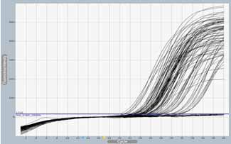 AccuTarget Real-Time PCR Primer Library Description 바이오니아는 sirna knockdown validation에필요한 Real-Time PCR Primer Library를제공합니다.