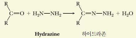 1 단계 (Hydrazone 생성 ) C=O 기가 Hydrazine