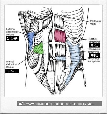 Ⅰ. 필라테스의운동효과 source-naver image : power house 1) 파워하우스는앞쪽복부 ( 척추굴근 ), 뒤쪽복부 ( 척추신근또는요부근육 ), 둔부신근, 둔부굴근, 골반저근 ( 회음부근육 ) 의 5개의주요근군으로나뉘어진다. 2) 통증감소로서어떤질환이아닌불균형으로인한통증일때완화가가능하다.