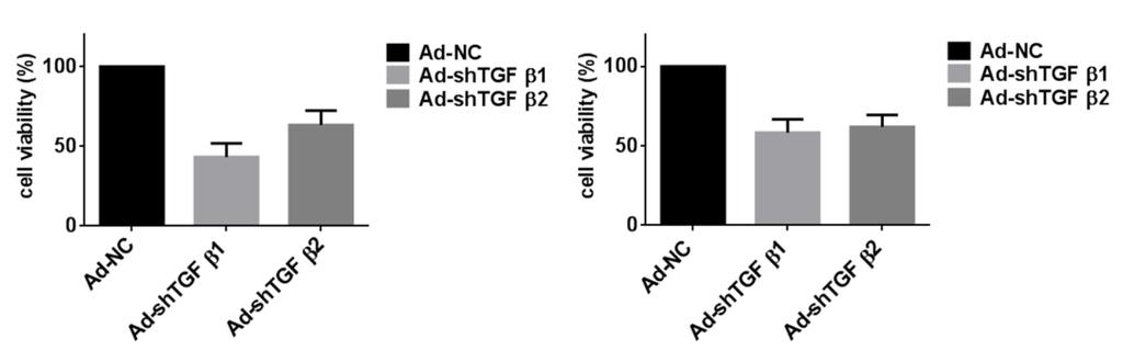 (C) A375 HPAC (D) Figure 2.