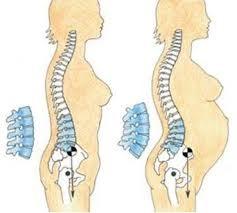 요추부척추기립근 (low back erectors), 흉요근막 (thoracolumbar fascia)