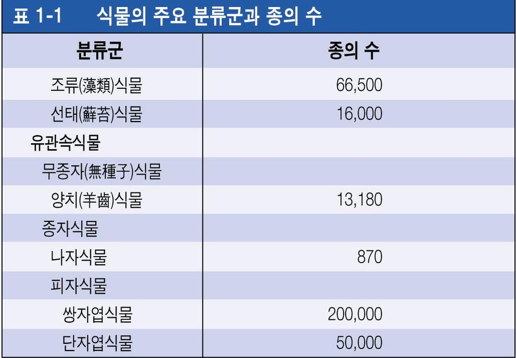 식물의기능을공부하는데있어형태와기능을연관하여이해하는것이중요하고식물은환경에적응하기위해