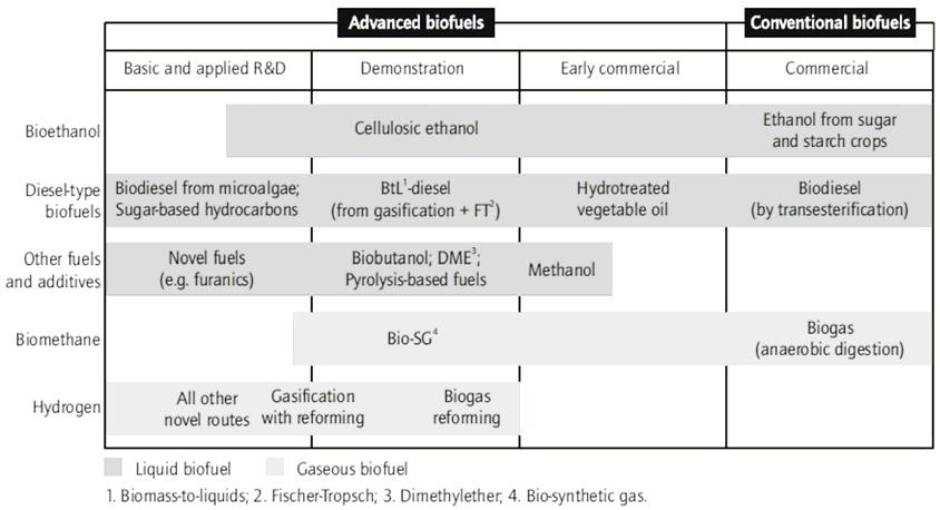 Source: Modified from Bauen et al., 2009. Figure 1. Commercialization status of main biofuel technologies.