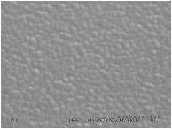 그림 7은 arc ion plating 에의해 Ti계중간층을증착한후그위에 sputtering 으로 DLC를증착한시편들의표면및절단면에대한 SEM(Scanning Electron Microscope)