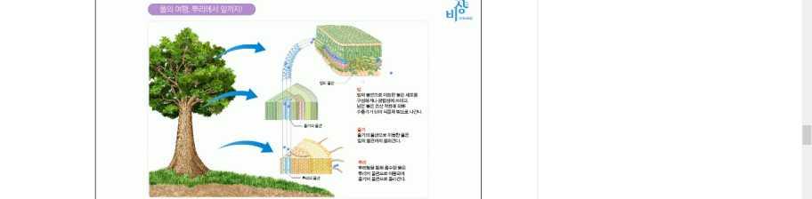 E 수분을유지할수있는화분설계, 수분유지를위한연못설계 A 테마가있는정원디자인 M 화분이유지할수있는물의양계산개발의도증산작용이활발하게일어나는환경조건을고려하여실내정원을배치하고자한다.