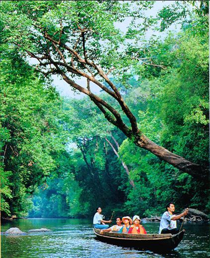말레이시아관광산업 - 집중육성정책사업 C. 말레이시아생태관광 (Echo Tourism) 국토의 60% 이상이열대우림으로이루어져 타만네가라... 세계에서가장오래된정글 (1 억 3 천만년 ) 시파단.