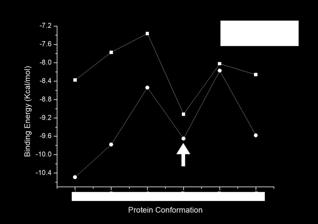 반면에, 단백질 F의 경우, 즉, 단백질이 완전히 활성화가 되면 이마티닙은 c-src 타이로신 카이네이즈의 카이네이즈 영역이 아닌 링커 영역 (핑크색 부분)에 결합하고 있음을 보여주고 있다. 이 결과는 SWISSDOCK과 AUTODOCK 두 경우에 매우 일치하는 경향을 보여 주고 있다.