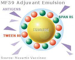 6) Adjuvant 는항원에대한면역반응을높혀준다