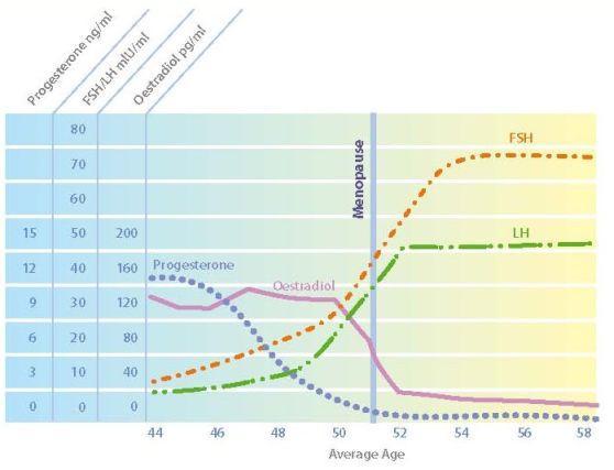 7. Menopause ( 폐경 ) Menopause: the time in most women's lives when menstrual periods stop permanently.