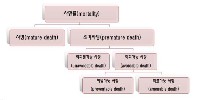 Estimation of attributable burden Parameters needed (like PAR) DALY Relative Risk (or OR) of each risk factors to diseases/injuries Exposure prevalence of the risk factors 회피가능사망 : 예방가능 versus 치료가능사망