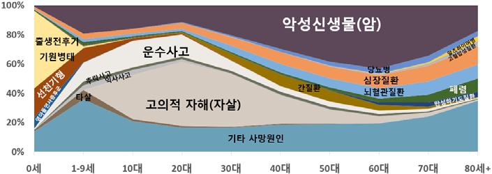 2017 한국인의사망원인통계지표