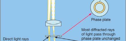 index/cell density