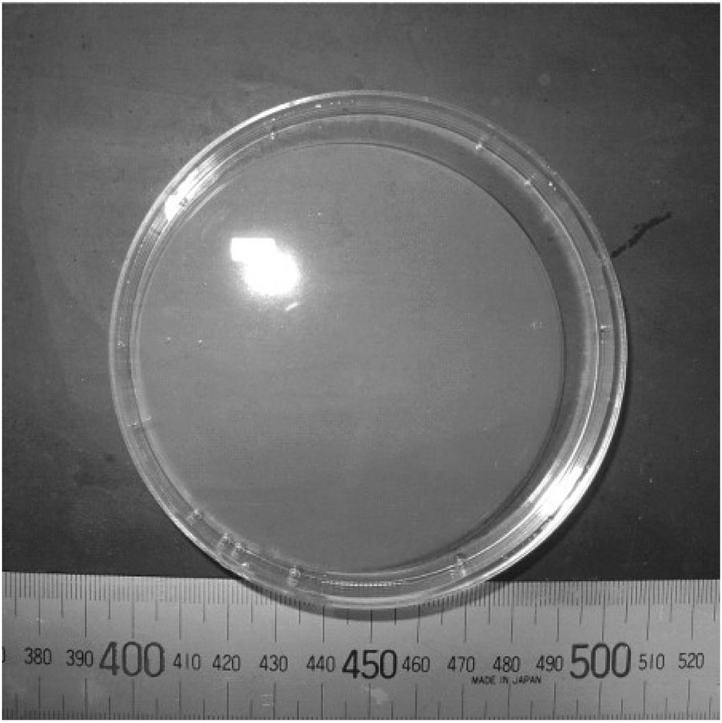 한인섭 박종철 김세영 홍기석 황해진 164 Fig.. Phtgraphs f silica wet gel prepared by water glass. Fig. 4.