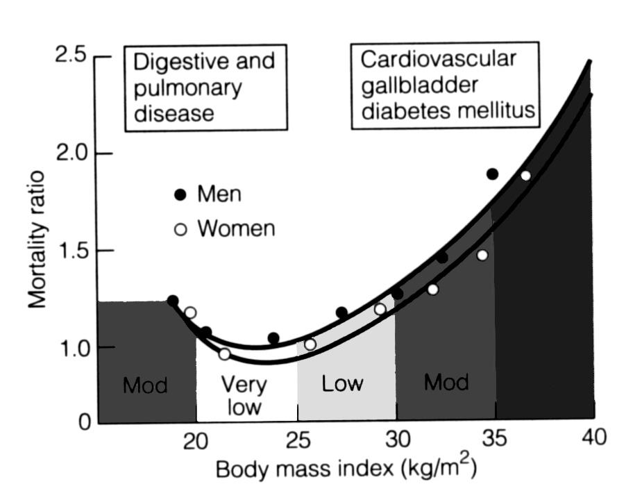 Basics of Exercise Metabolism for Health Care Professionals 서상훈 Basics